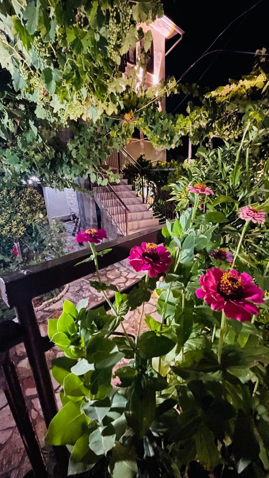Denis Guesthouse 1930 Gjirokaster Ngoại thất bức ảnh